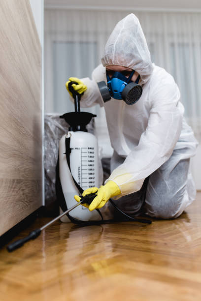 Best Pest Prevention Services  in Melbourne, AR